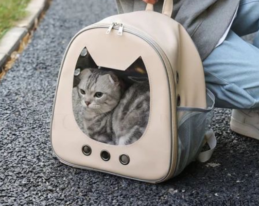 un chat gris dans un sac à dos pour chaton