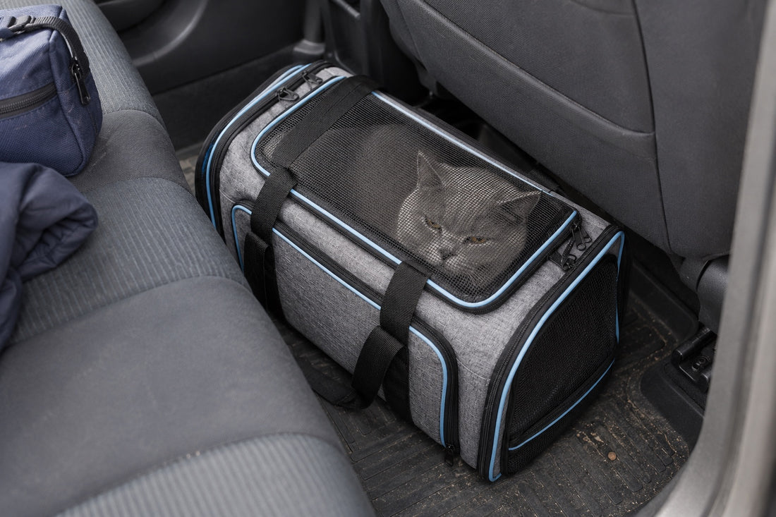 Sac de transport pour chat gris chiné à liserés bleus, fermé et calé au pied de la banquette arrière d’une voiture de covoiturage, un British Shorthair gris aux yeux ambre derrière la maille du dessus