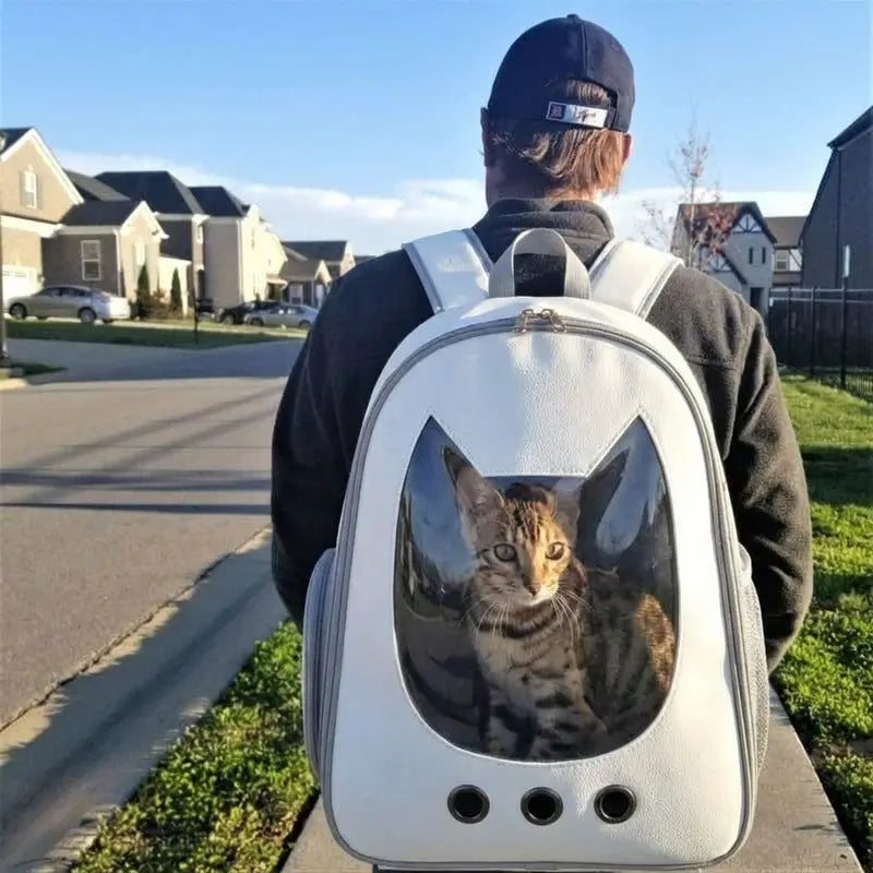 un homme avec un sac à dos pour chat avec un chat dedans 