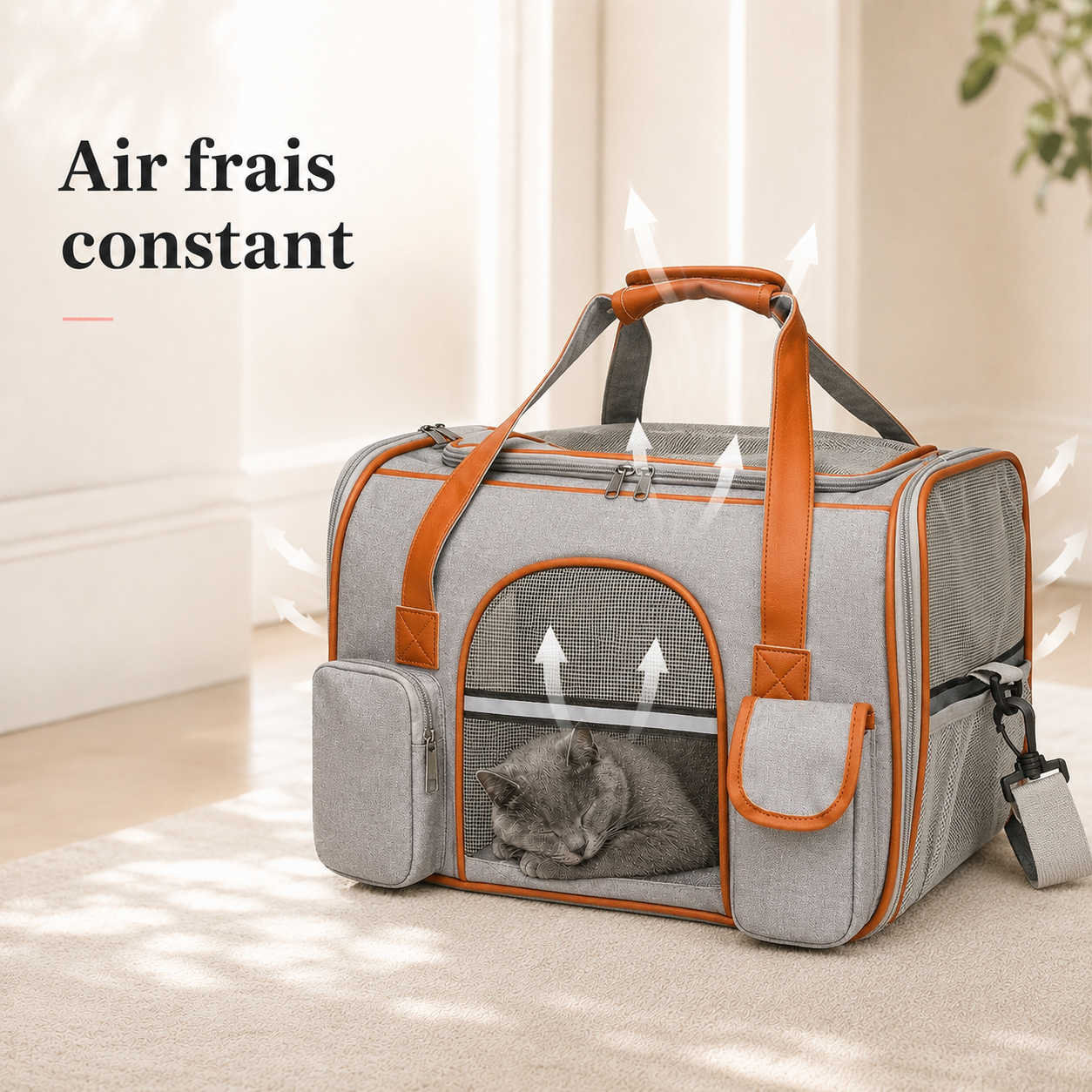Air frais constant - Sac de transport confort pour chat