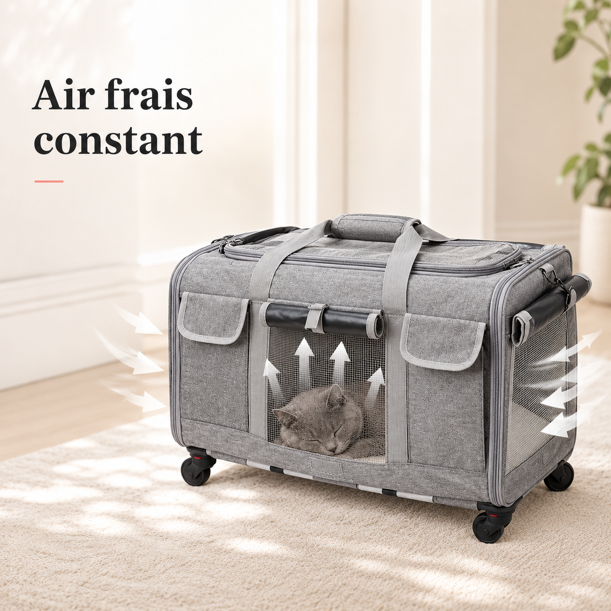 Air frais constant - Valise de transport à roulettes pour chat