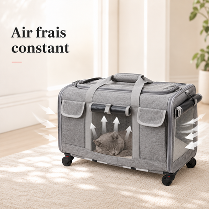 Air frais constant - Valise de transport à roulettes pour chat