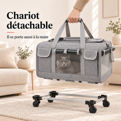 Chariot détachable - Valise de transport à roulettes pour chat