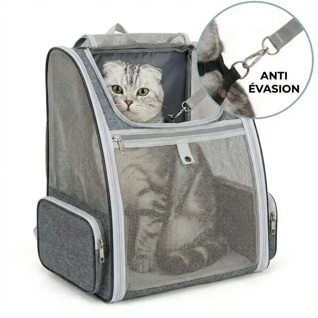 Sac à dos compact robuste pour chat - interieur et acces