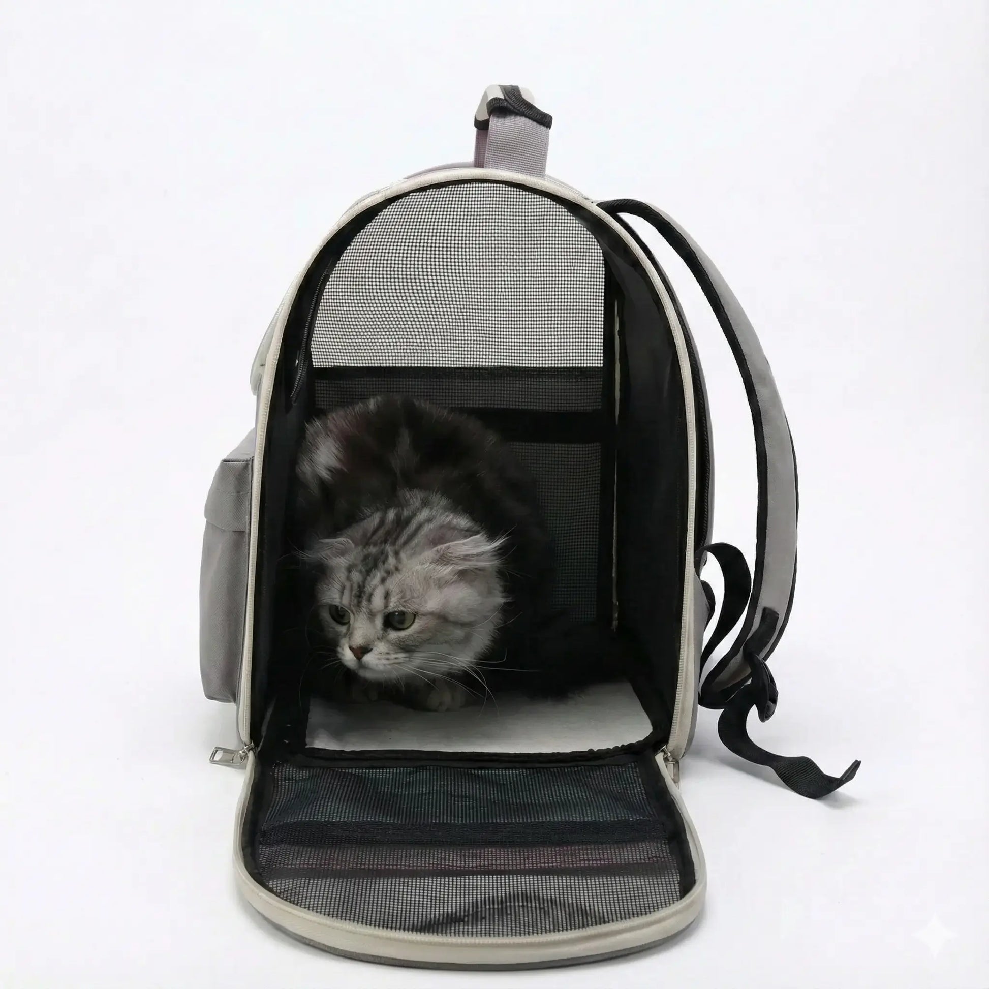 Sac à dos vision aéré pour chat - fermeture et ventilation