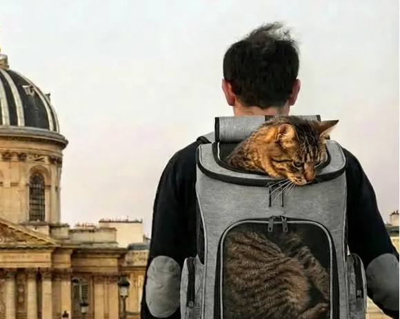 un homme avec un sac à dos pour chat gris et avec un chat dedans 