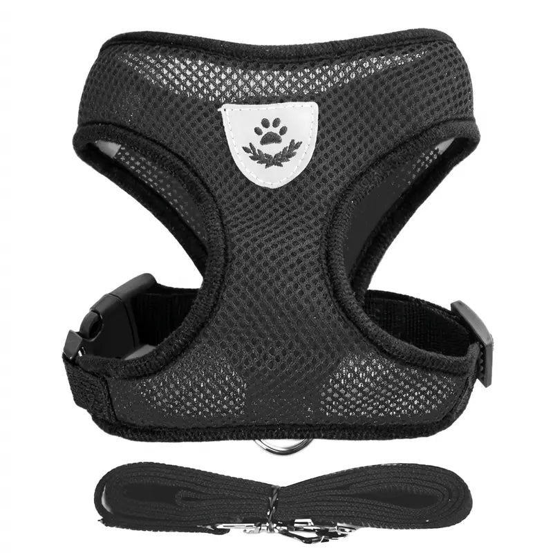 Harnais pour chat (offert avec le Kit Voyage)