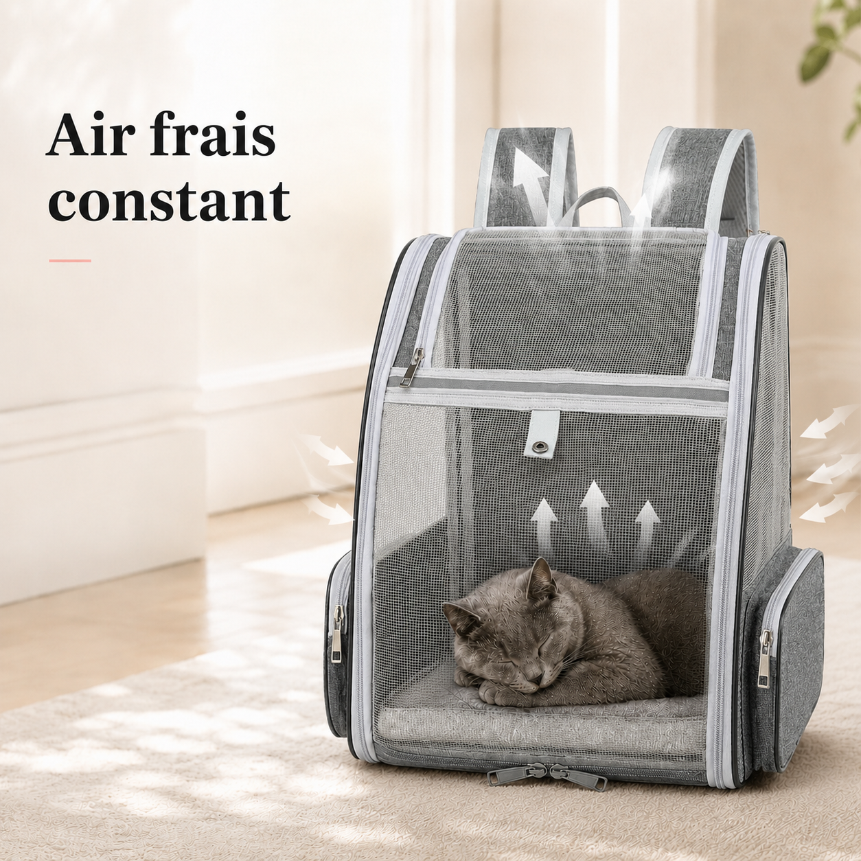 Air frais constant et ventilation - Sac � dos compact robuste pour chat