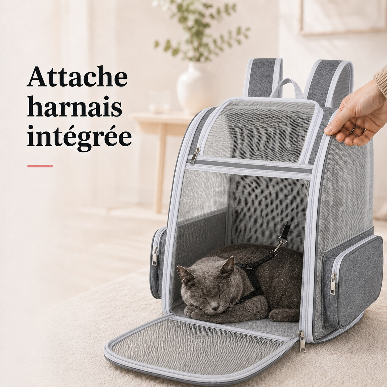 Attache harnais integree - Sac � dos compact robuste pour chat