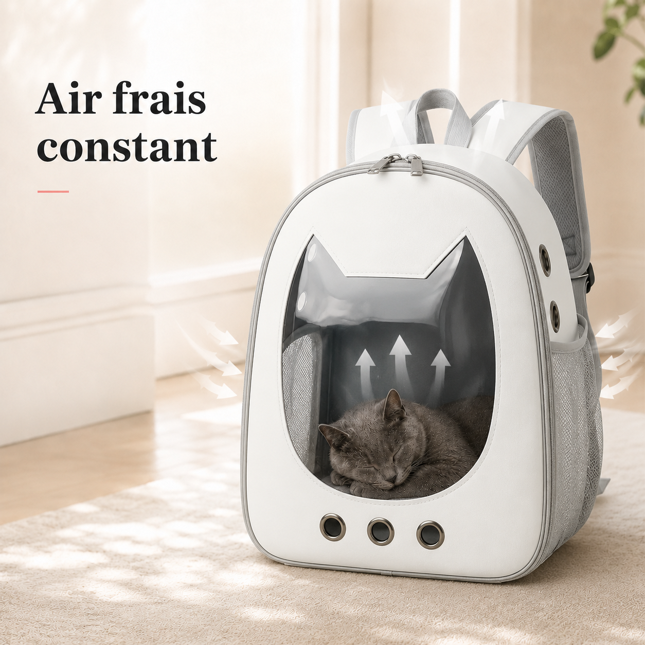 Air frais constant et ventilation - Sac � dos ergonomique pour chaton