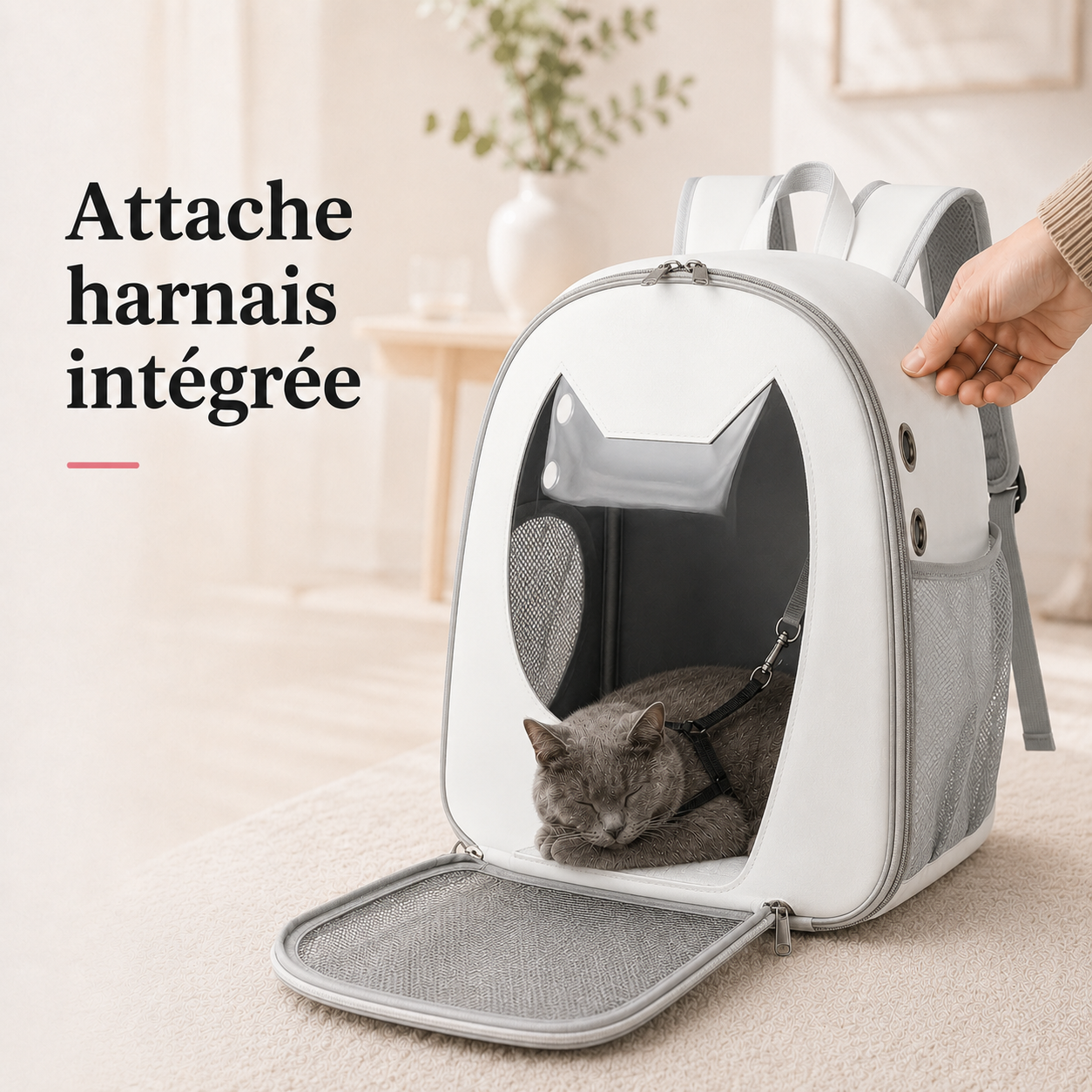 Attache harnais integree - Sac � dos ergonomique pour chaton