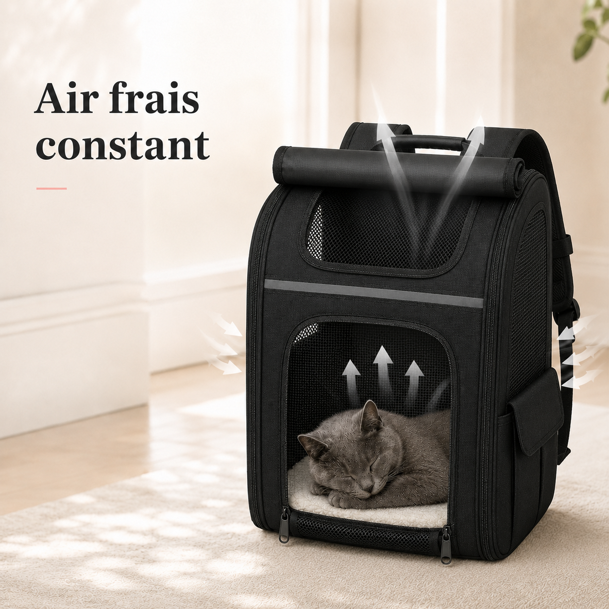 Air frais constant et ventilation - Sac � dos extensible spacieux pour chat