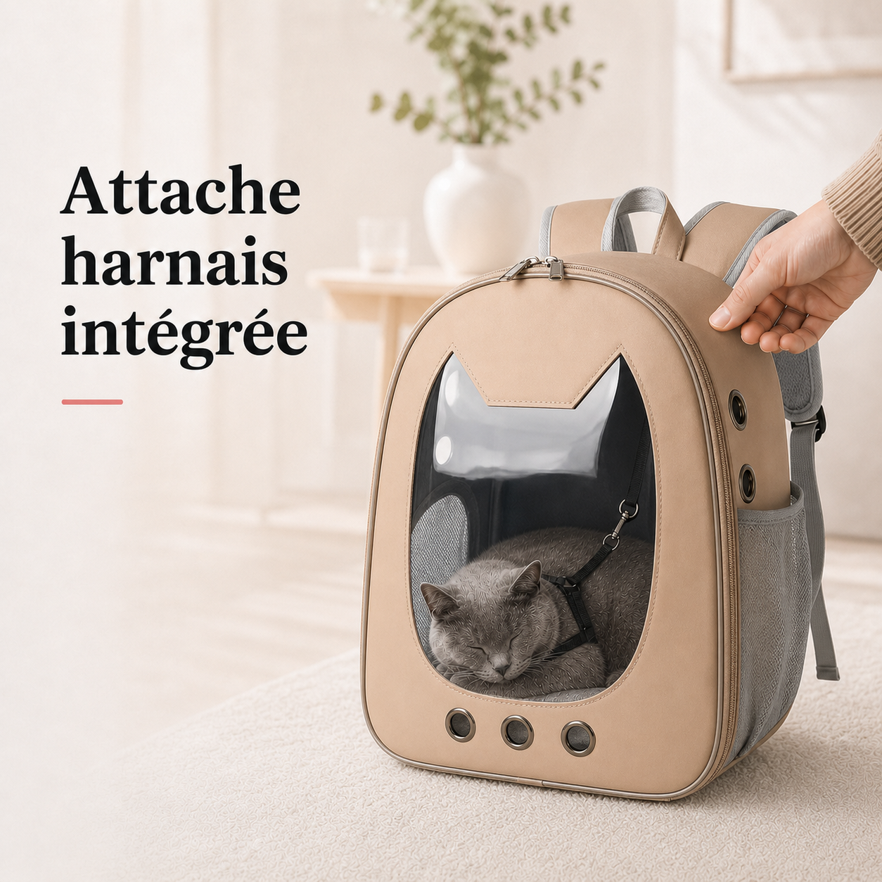 Attache harnais integree - Sac � dos imperm�able pour chaton