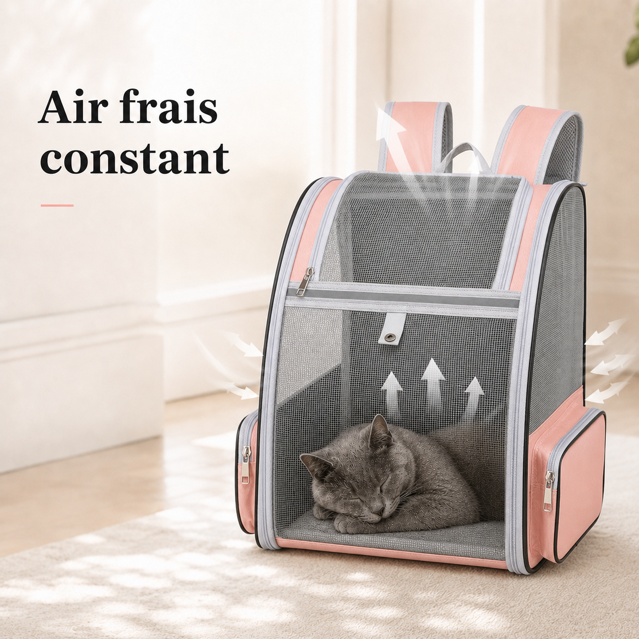 Air frais constant et ventilation - Sac � dos pliable a�r� pour chat