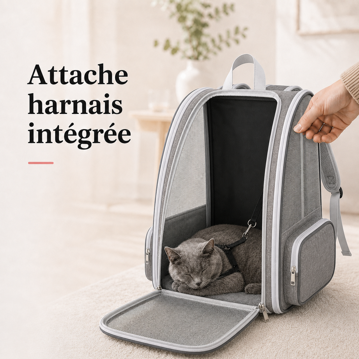 Attache harnais integree - Sac � dos pliable zipp� pour chat adulte