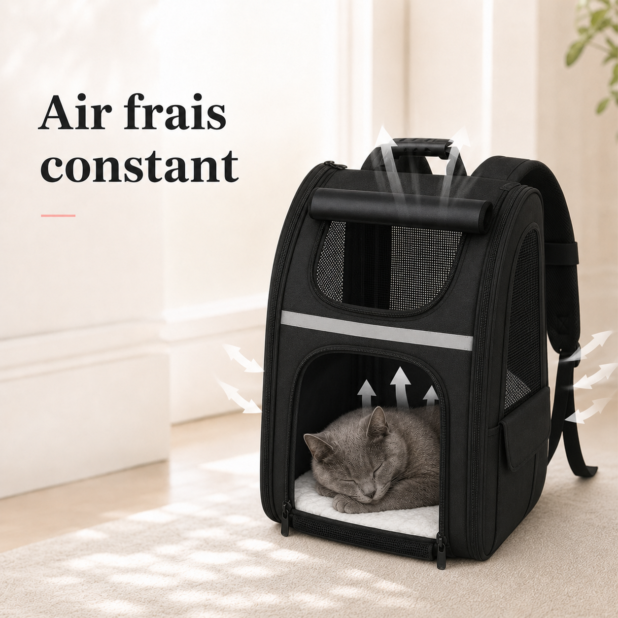 Air frais constant et ventilation - Sac � dos respirant pour chat adulte