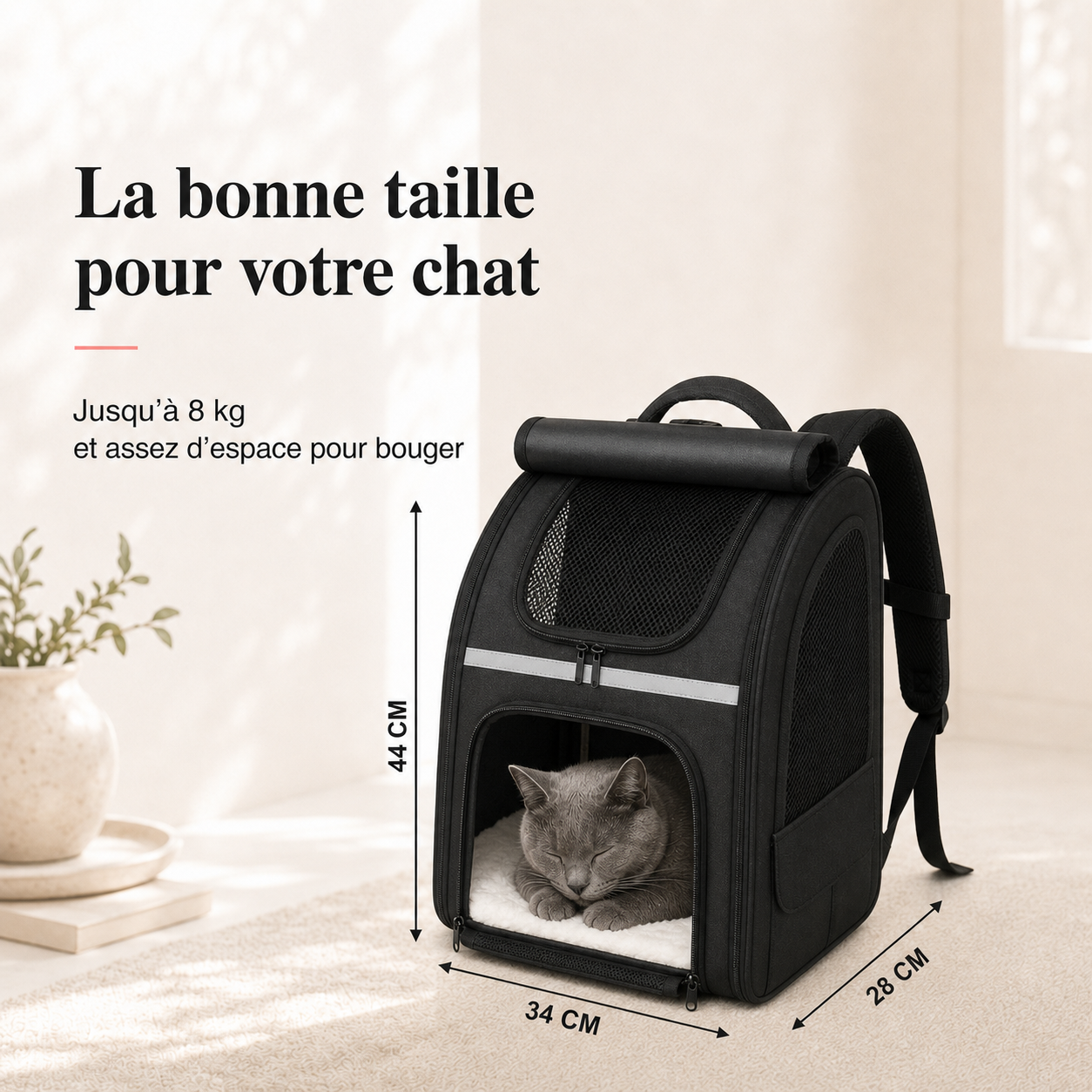 Dimensions et taille adaptee a votre chat - Sac � dos respirant pour chat adulte