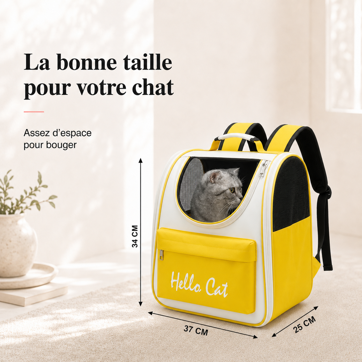 Dimensions et taille adaptee a votre chat - Sac � dos ventil� pour chaton