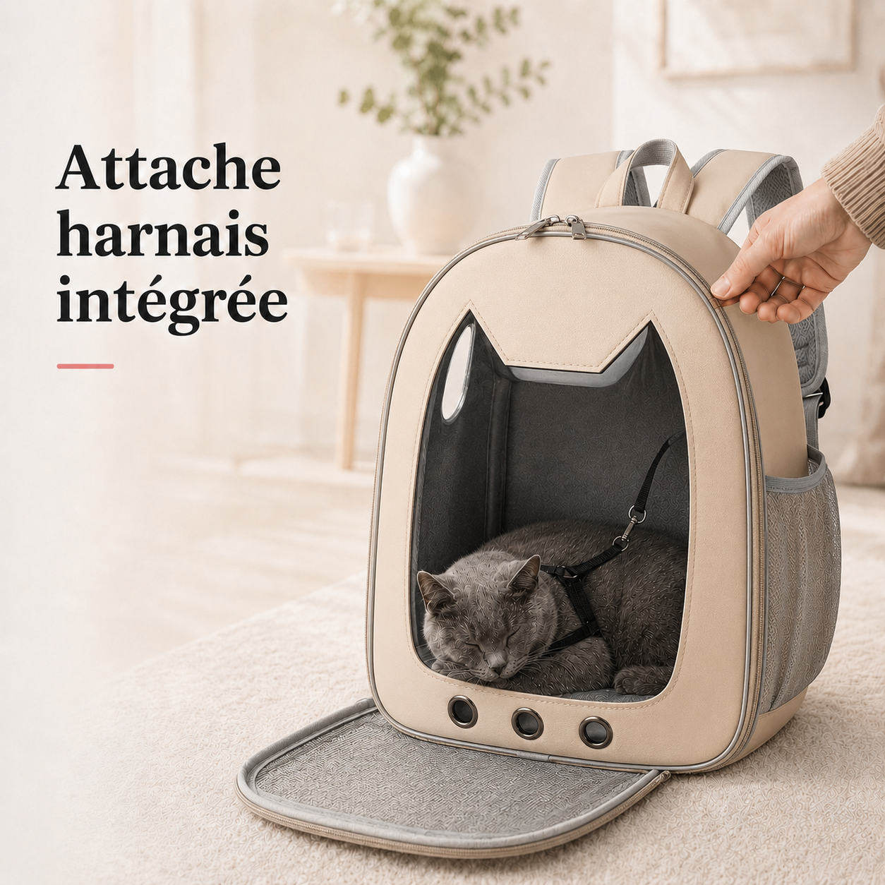 Attache harnais integree - Sac � dos zipp� compact pour chaton