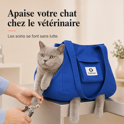 Apaise votre chat chez le vétérinaire - coupe des griffes sans lutte
