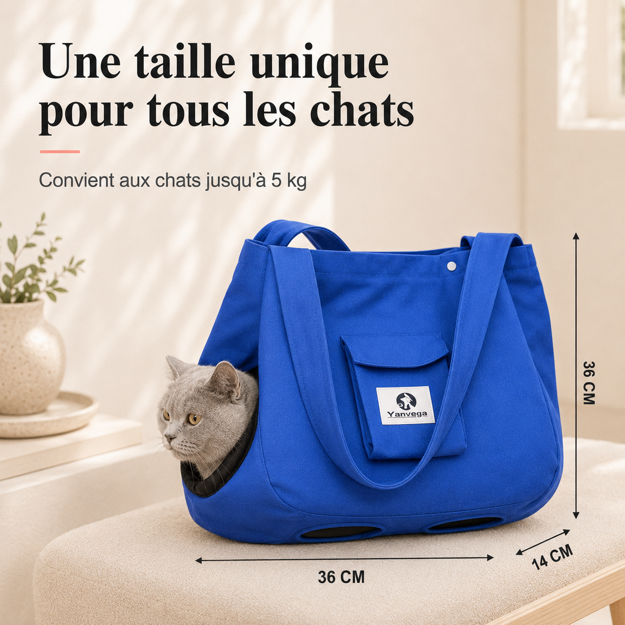 Une taille unique pour tous les chats - dimensions 36x14x36 cm