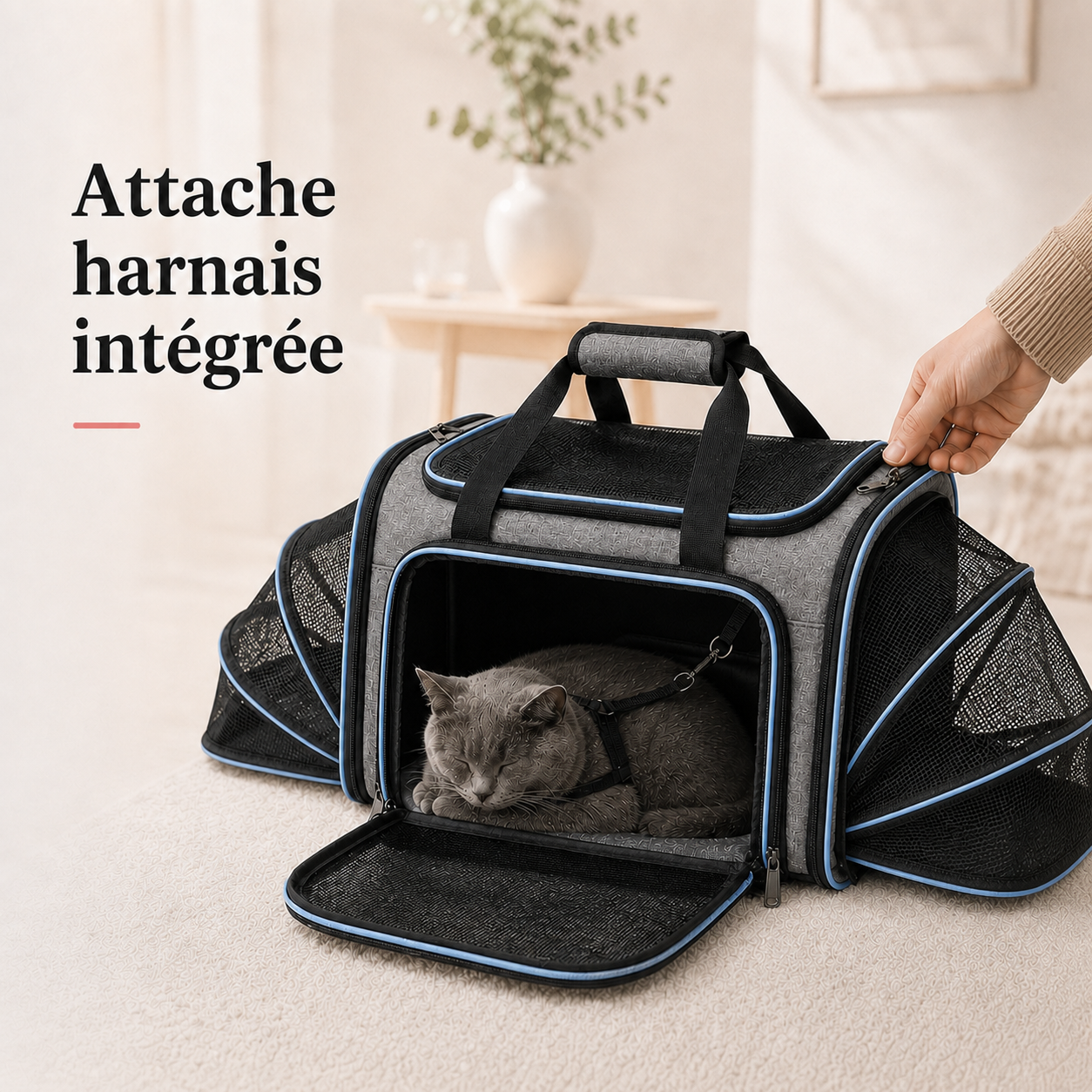 Attache harnais integree - Sac de transport cabine extensible pour chat