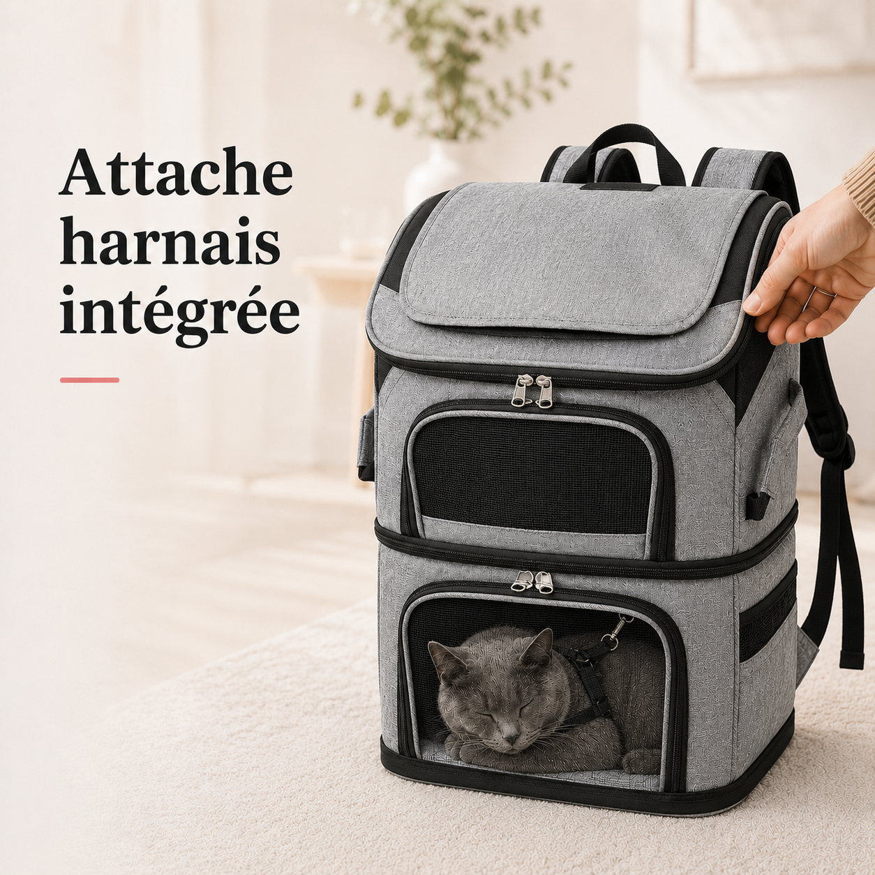 Attache harnais integree - Sac de transport espace XXL pour chat
