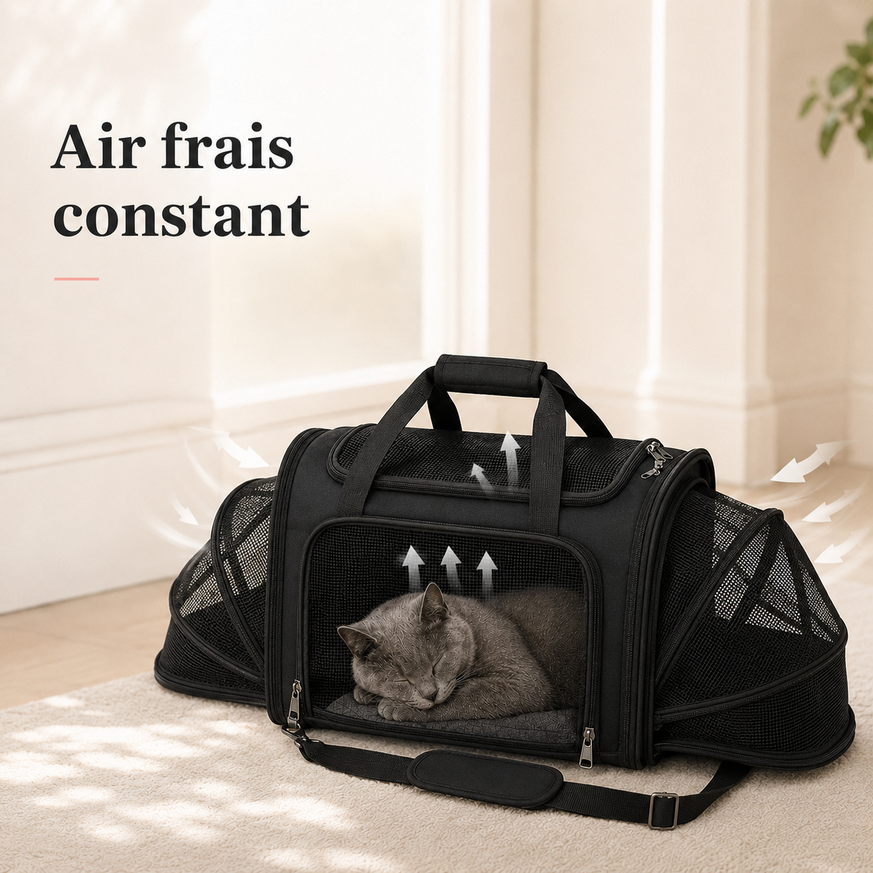 Air frais constant et ventilation - Sac de transport grand espace ventil� pour chat