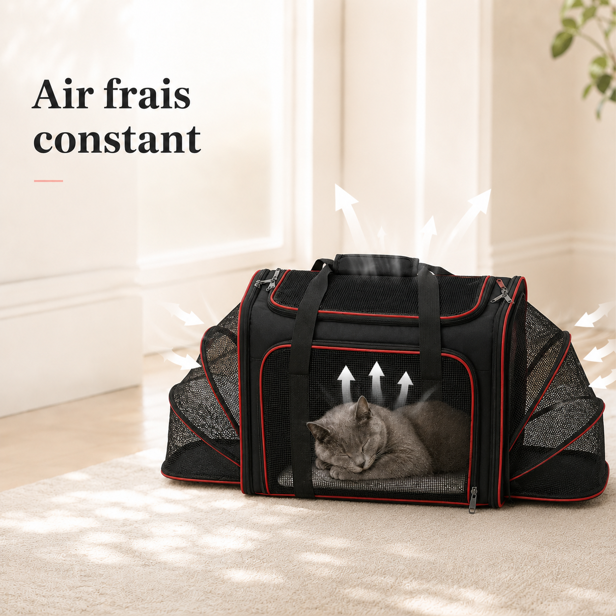 Air frais constant et ventilation - Sac de transport modulable s�curis� pour chat