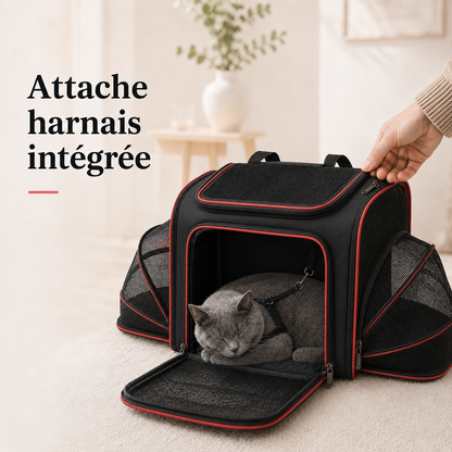 Attache harnais integree - Sac de transport modulable s�curis� pour chat