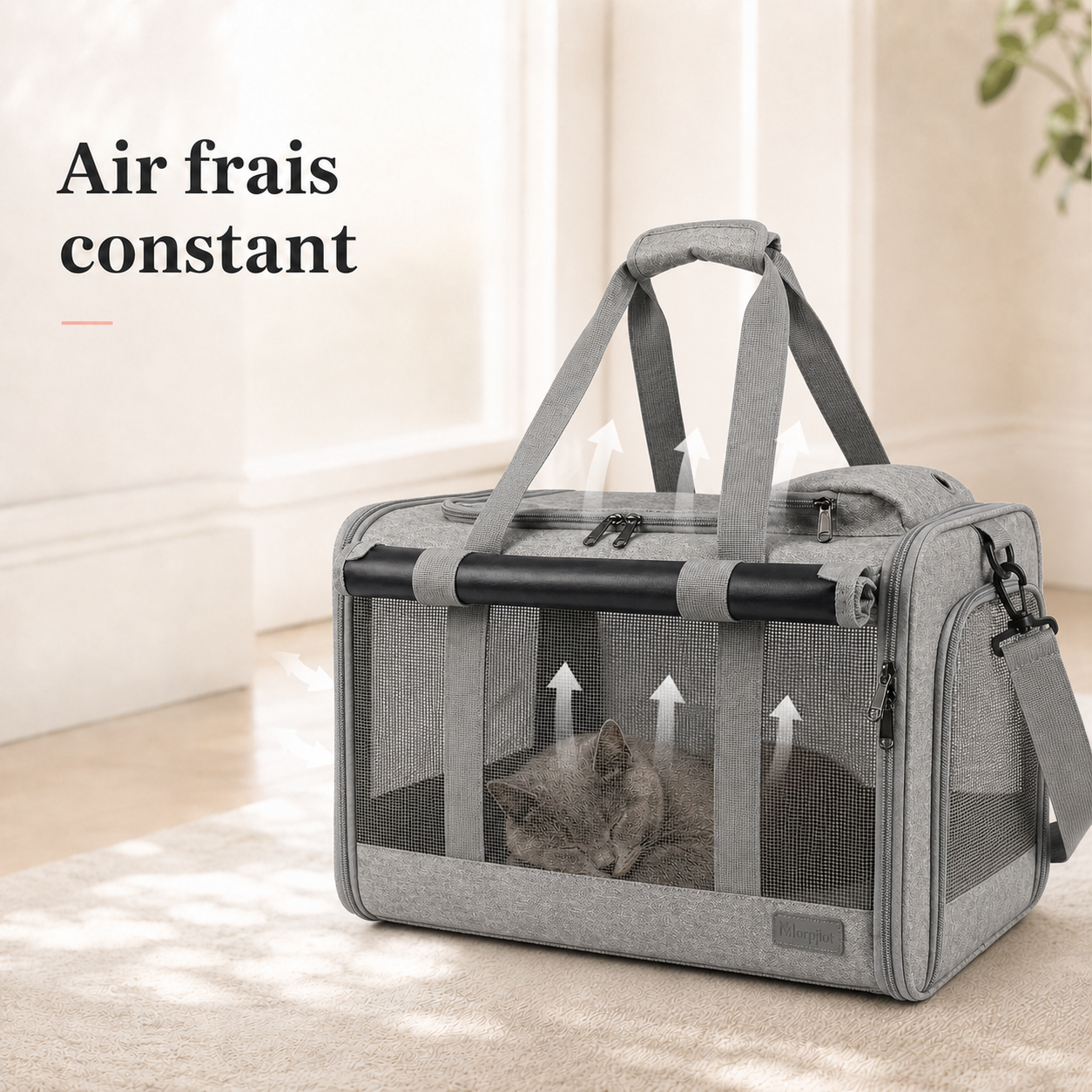 Air frais constant et ventilation - Sac de transport robuste pour chat 7kg