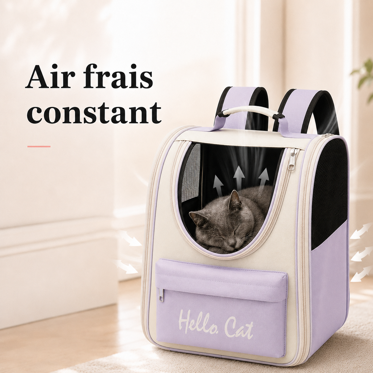 Air frais constant et ventilation - Sac de transport  robuste pour chaton
