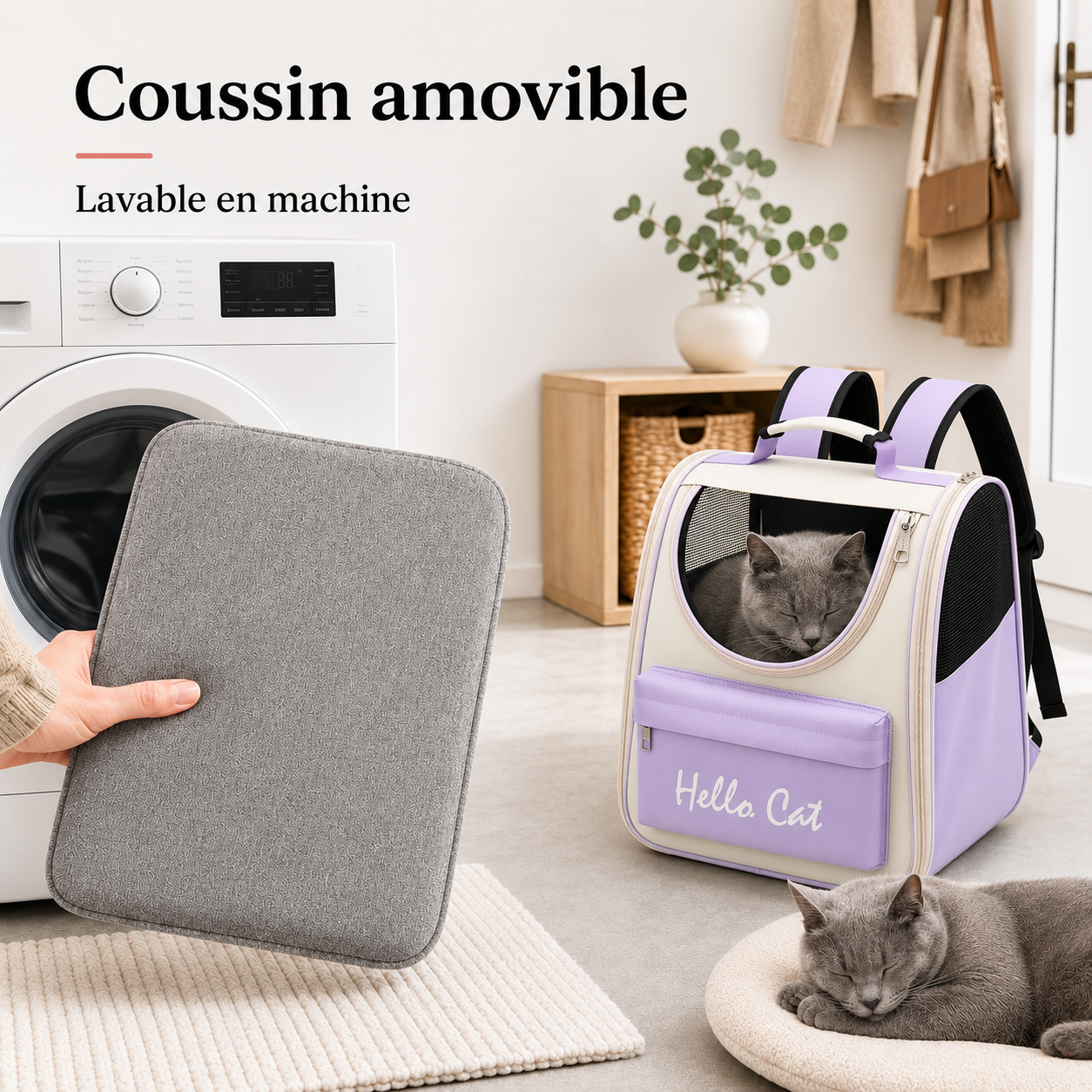 Coussin amovible lavable en machine - Sac de transport  robuste pour chaton