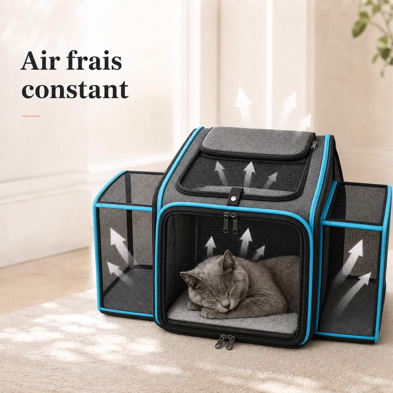 Air frais constant et ventilation - Sac de transport souple bleu pour chat