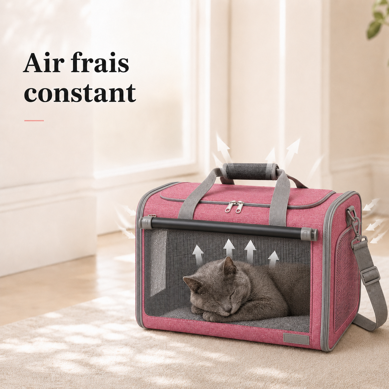 Air frais constant et ventilation - Sac de transport spacieux pour chat 7kg