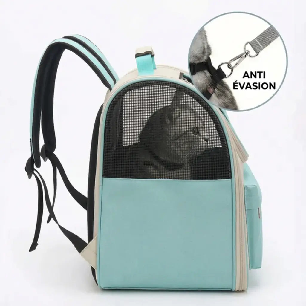 Sac de transport aéré pour chaton - interieur et acces