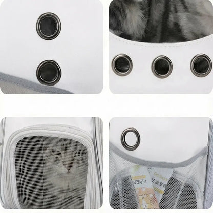 Sac à dos ergonomique pour chaton - dimensions et portage