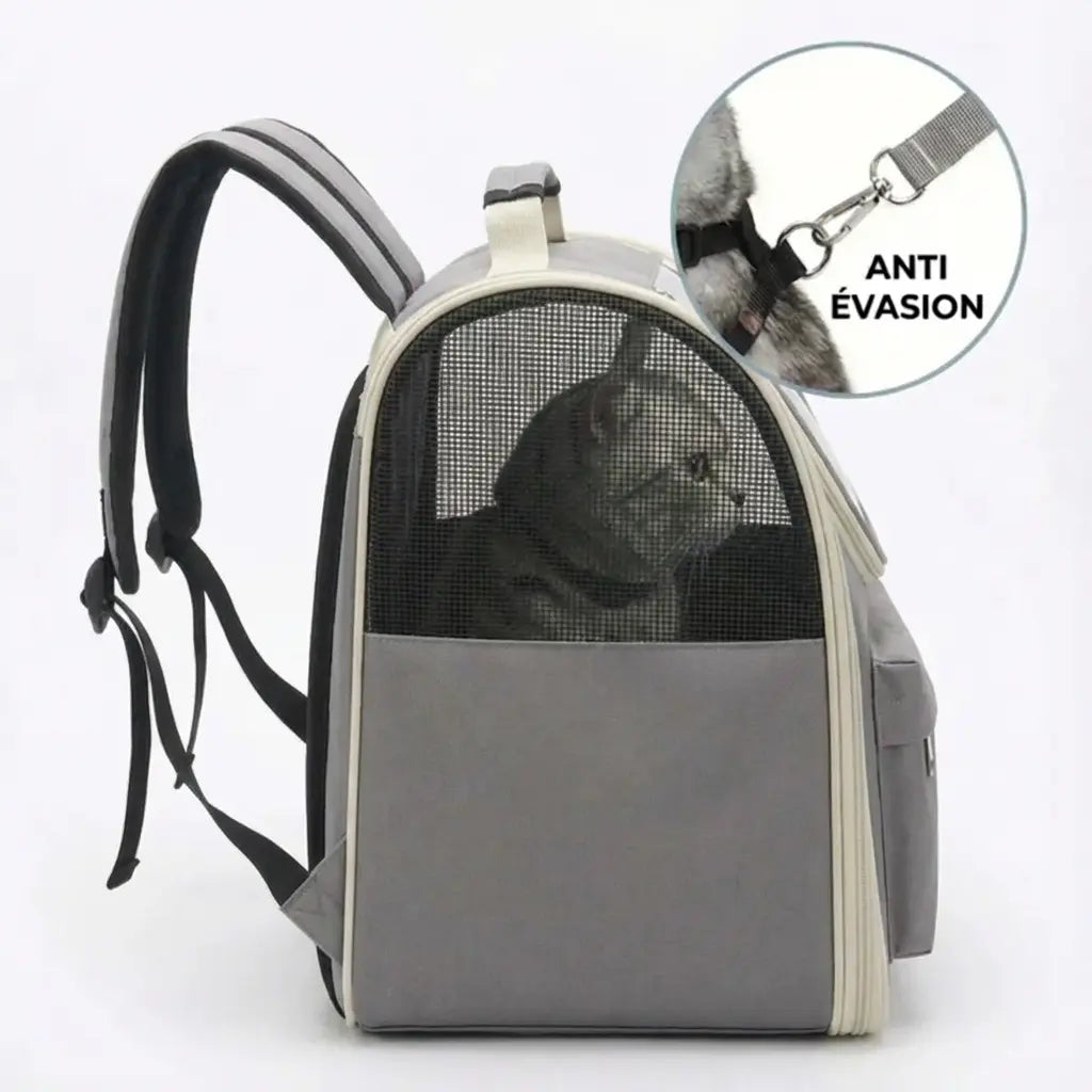 Sac de transport zippé pour chaton - interieur et acces