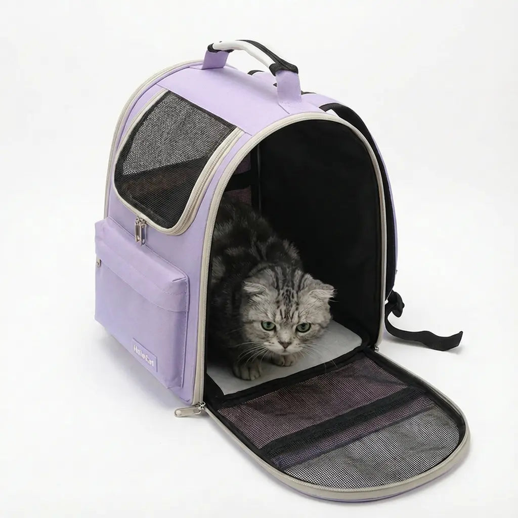 Sac de transport  robuste pour chaton - interieur et acces