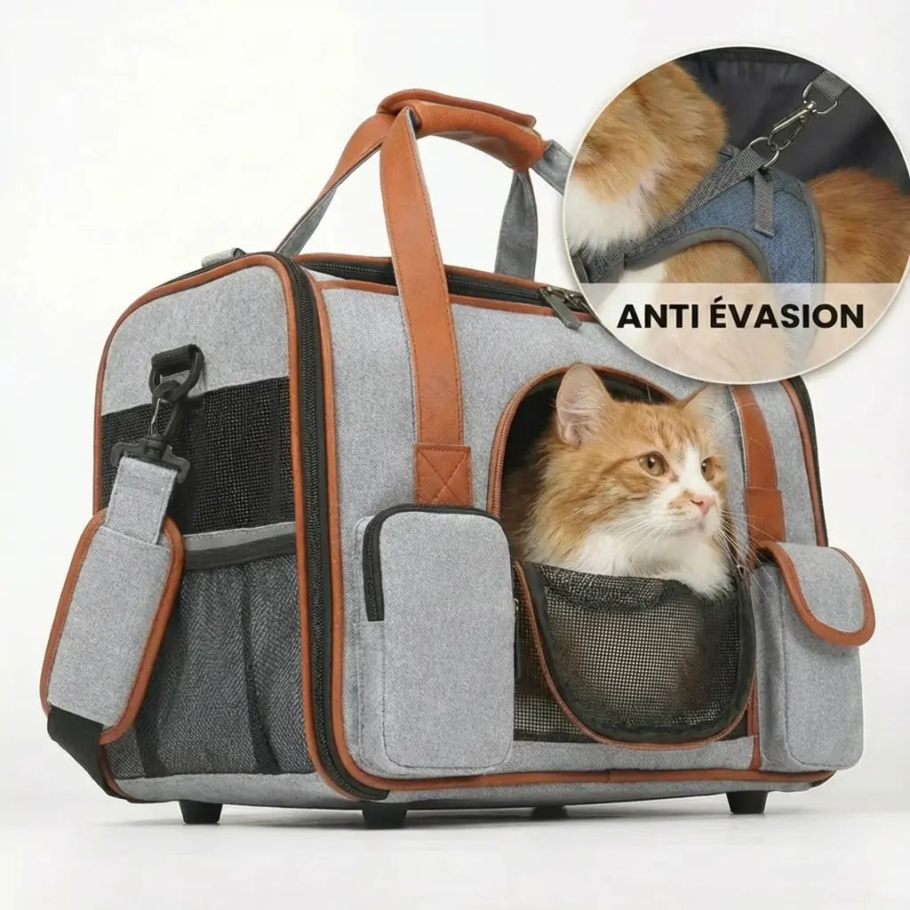 Sac de transport aéré XXL pour chat - interieur et acces