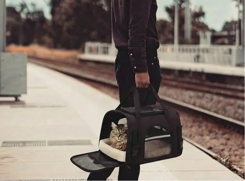 sac de voyage pour chat avec un chat dedans qui dort